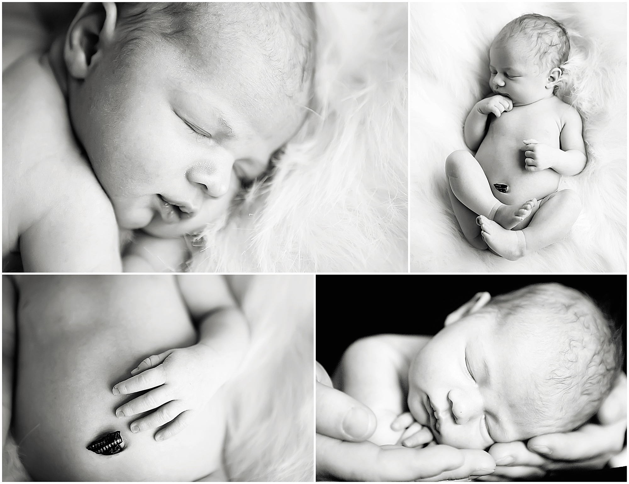 2009 Newborn Photography | Raleigh NC | Christy Johnson Photography