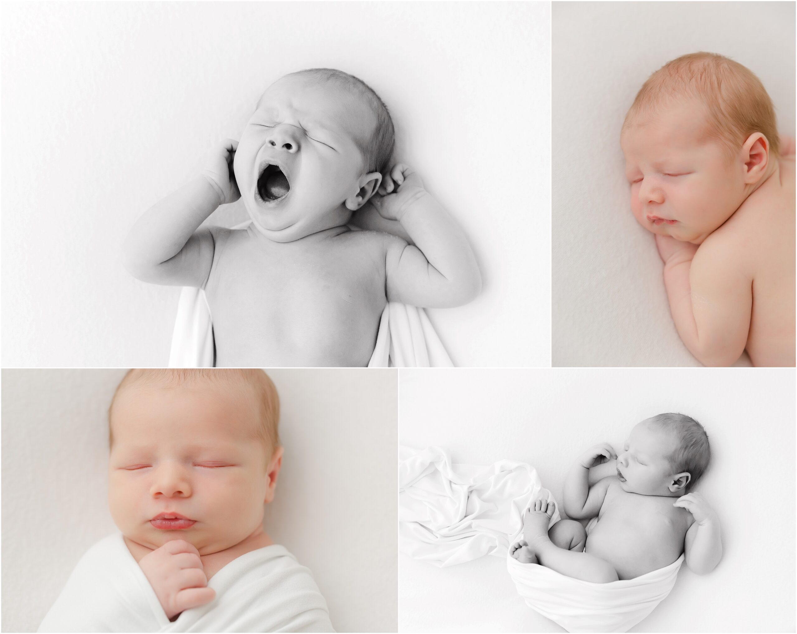 Group of four photos of a newborn baby on a white background